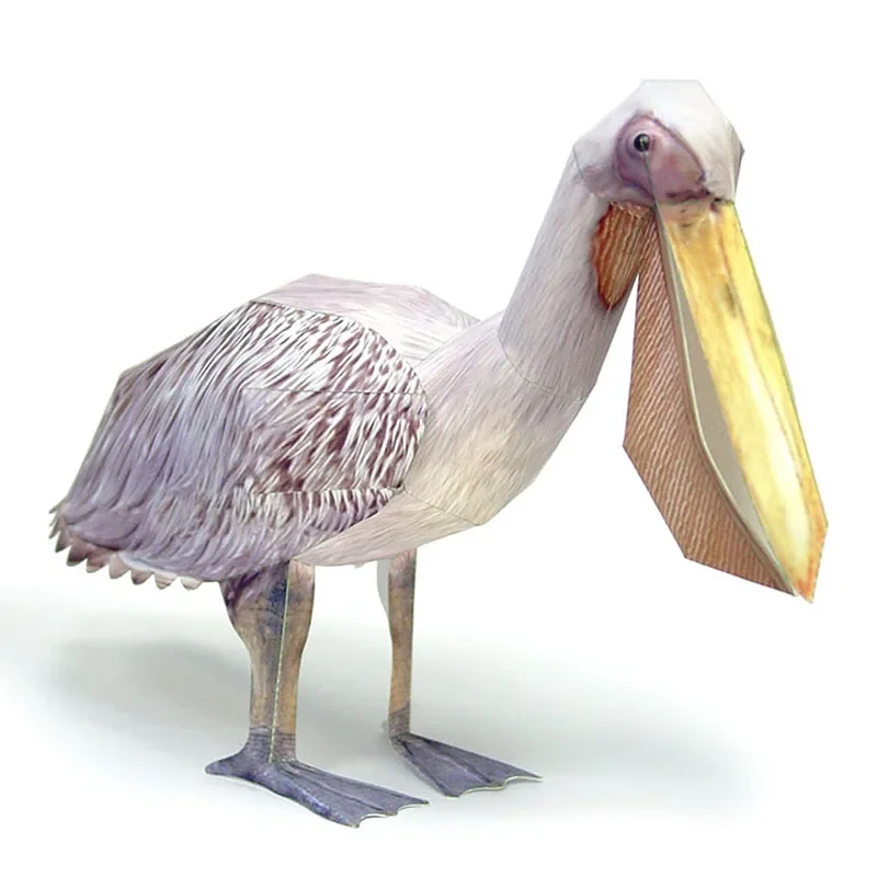 Art Craft Center - Great White Pelican Bird Paper Model