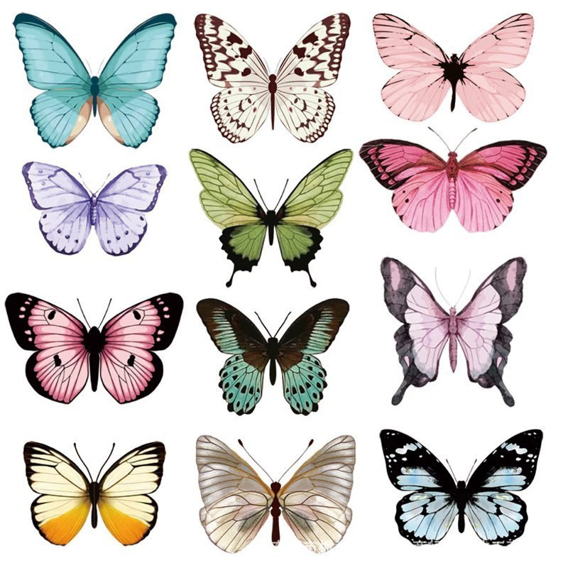 12pcs 3D Butterfly Wall Sticke - Art Craft Event recension och pris